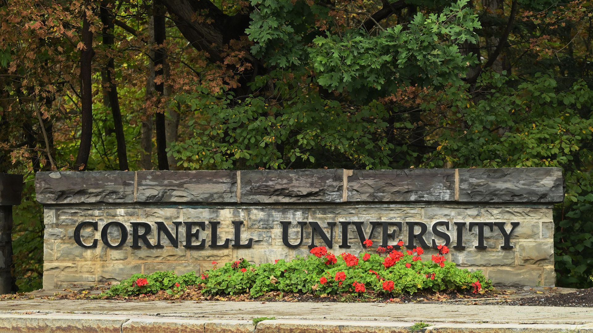Cornell University bans frat parties after alleged campus gang rape